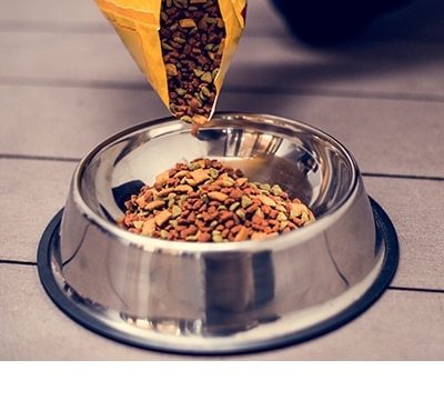 Alimento para perro