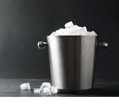 Hieleras y Moldes de Hielo